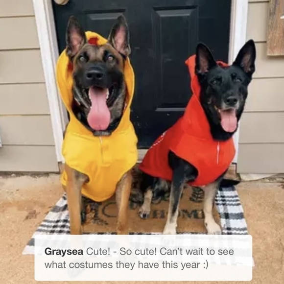 🐶 5 for $15 ○ Ketchup Hoodie Dog Costume - Picture 4 of 7